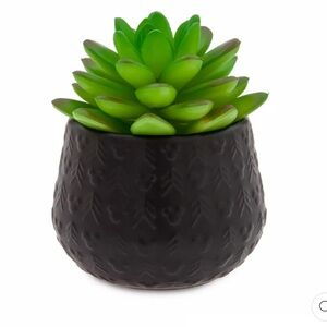 DISNEY PARKS MICKEY HOMESTEAD ARTIFICIAL SUCCULENT POTTED PLANT